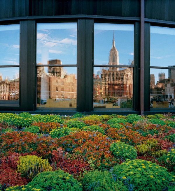 Green Roofs by Diane Cook and Len Jenshel #inspration #photography #art