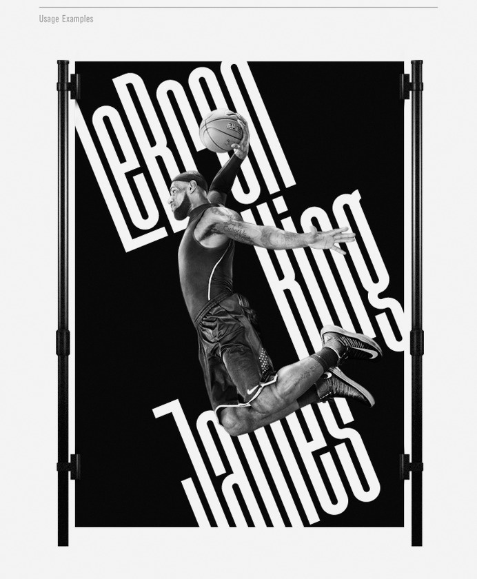 Font: Disclaimer | Lebron King James poster | typography