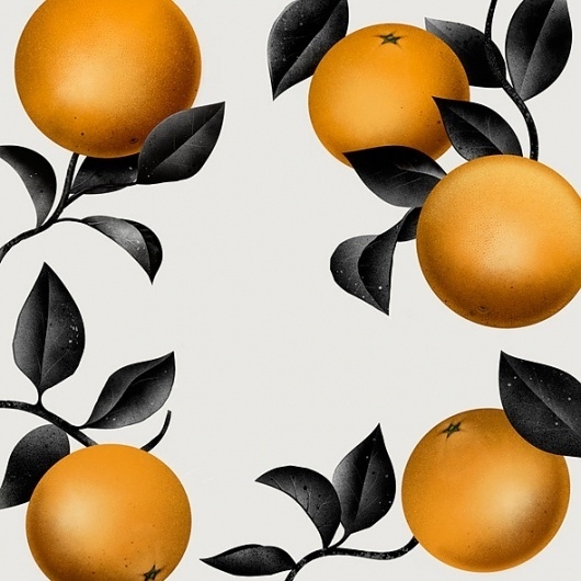 Blog - Agency - YCN #ycn #print #fruit #citrus #bonaque #wallpaper #borja