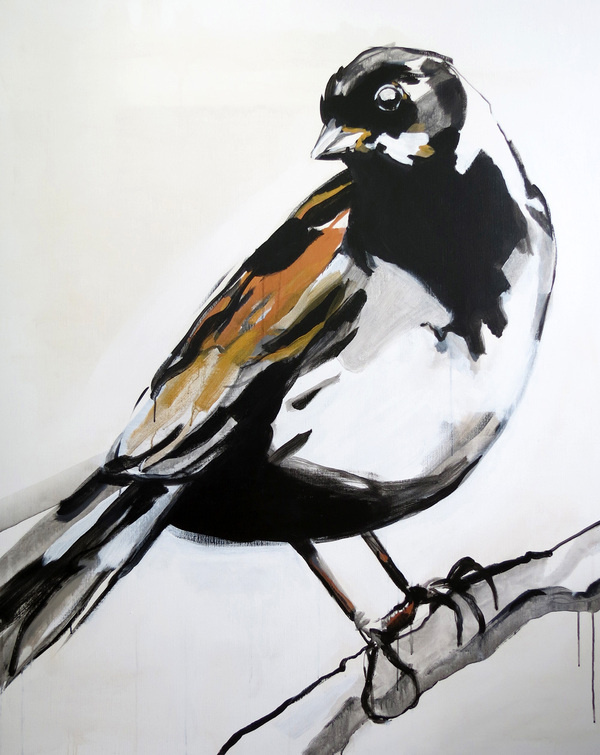 Maartje_van_den_Noort #painting #bird