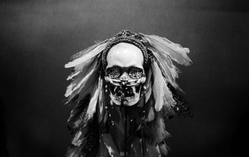 tumblr_lltivl9EWk1qbc9h4o1_500.jpg 500×316 pixels #white #predator #black #and