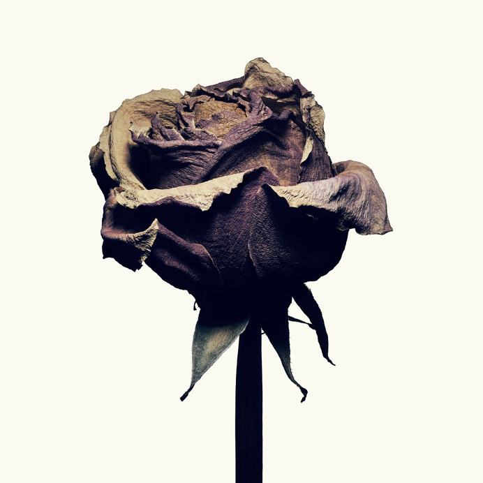 Isamu Sawa - Without Water