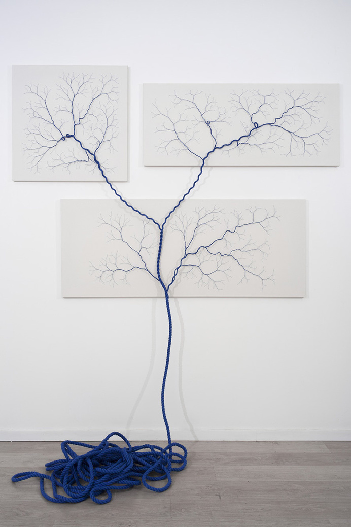 "Ciclotrama" site-specific series by using nylon rope and countless nails.