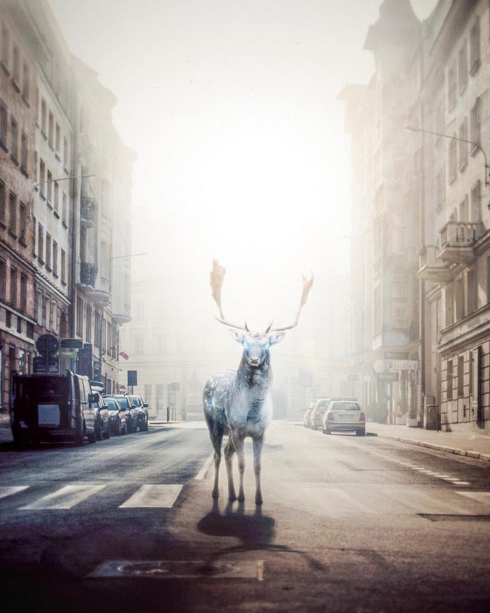 Dreamlike Photo Manipulations by Louis Kellner