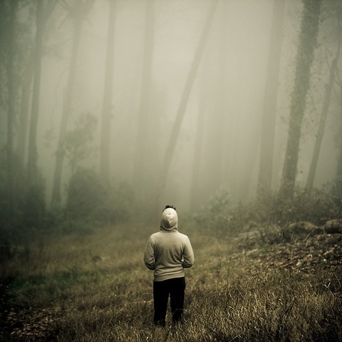 3914385254_4a1ea14e9f.jpg 500×500 pixels #hoodie