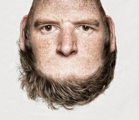 FFFFOUND! | Head on Top | Fubiz™ #head