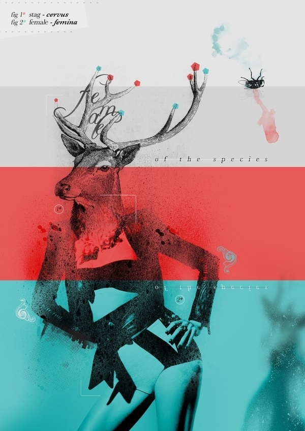 Female Of The Species #abstract #deer #design #art #fashion #graphics #sex #female #beauty