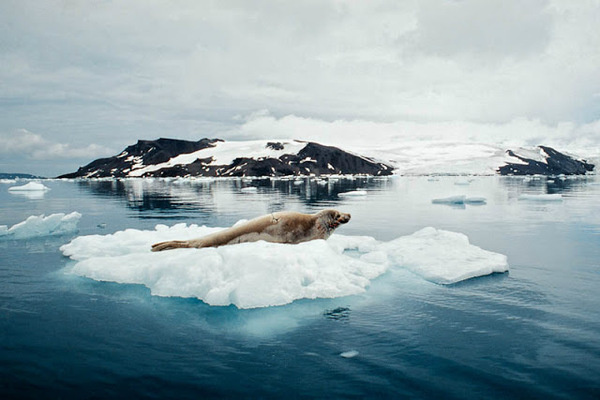 Wildlife Photography #photography