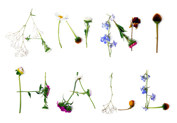 Anni Hall designed by Dittmar #flowers #typography