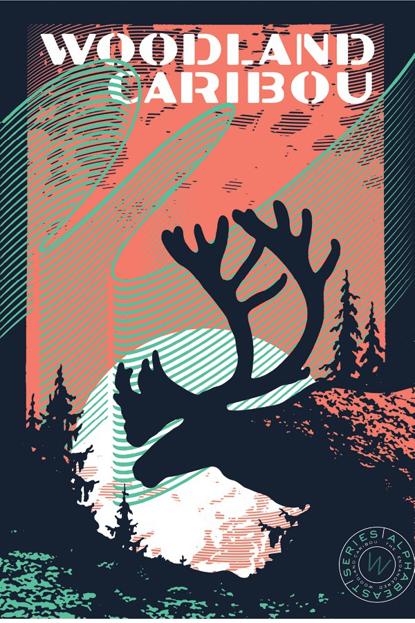 Woodland Caribou — Type Hike