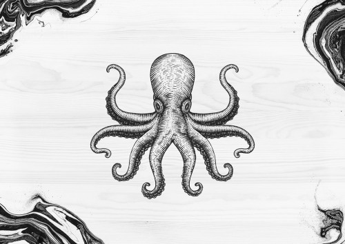 Hey ! Lola mullen lowe branding. // Octopus drawing - https://www.behance.net/gallery/35373617/Lola-Mullen-Lowe-branding