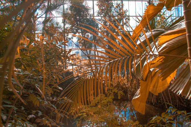 Greenhouses by Quentin Deronzier