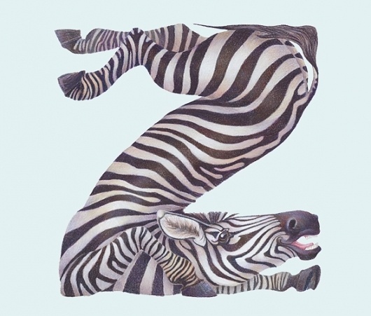 Animals in Alphabet on the Behance Network #illustration #alphabet #zebra #typography