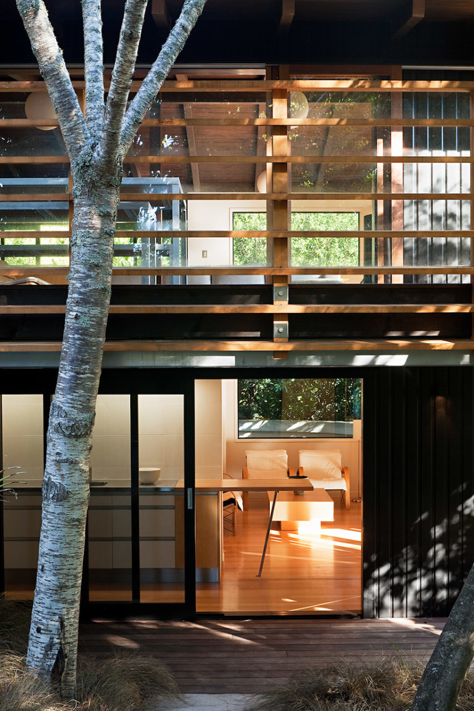 Glade House – modern home with raking ceilings and exposed rafters