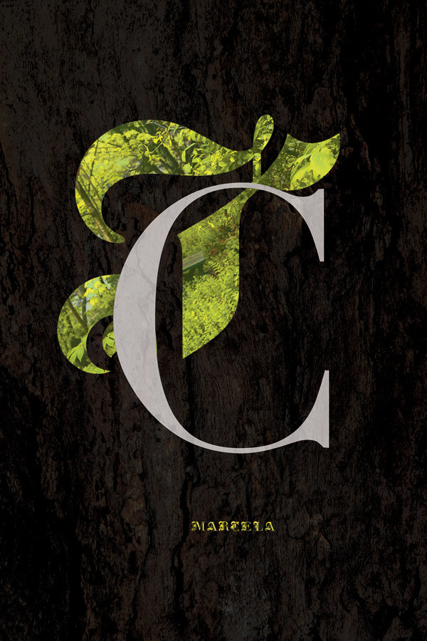 Marcela Hybrid Typeface Posters on the Behance Network #agincourt #didot #typeface #hybrid