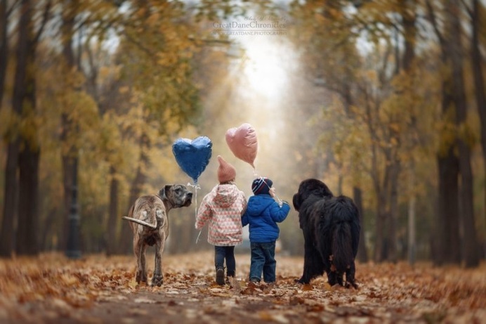 Little Kids And Their Big Dogs by Andy Seliverstoff