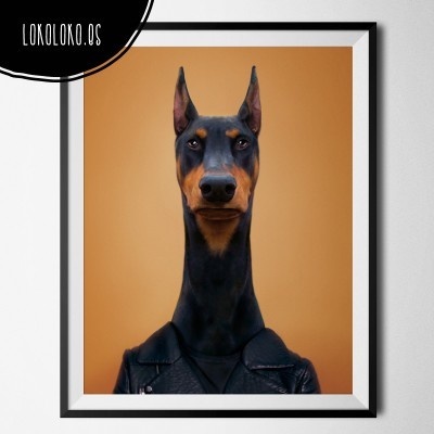#animals #clothe #fashion