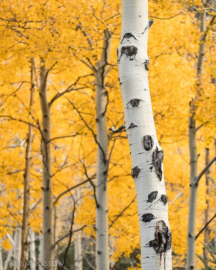#instatravel: Outstanding Travel Photography by Krista Rossow