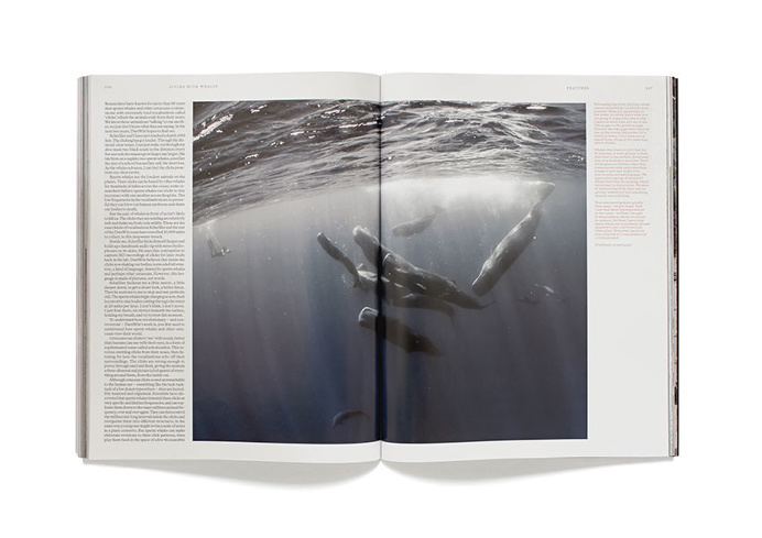 magazine layout, type, tipography