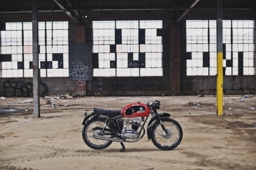 Kyle Hale #thumper #agusta #iron #vintage #mv #bike #motorcycle #race