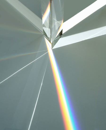 bacteriia: "Tokujin Yoshioka "
