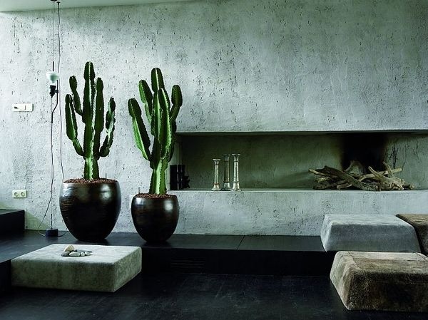 cactus interior design easy to care for cactus cactus living room #interior #cactus #plant