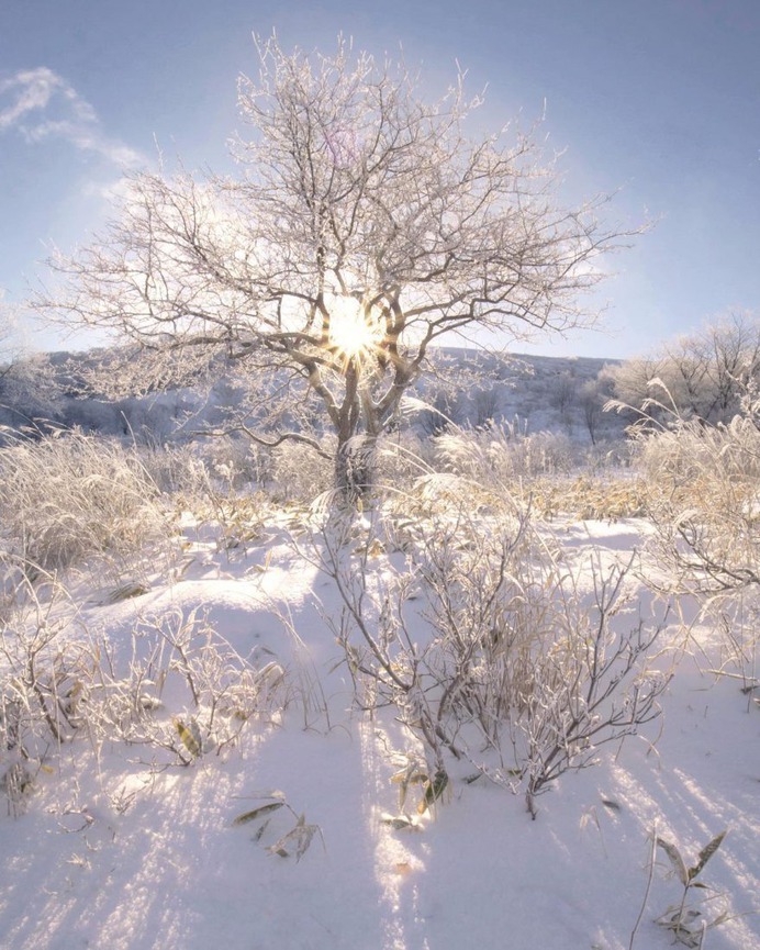 Amazing Nature Photography in Japan by Makiko Samejima