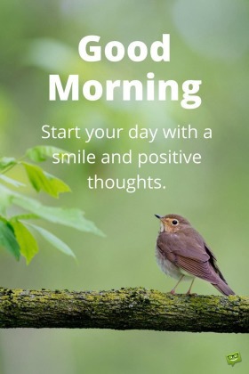 Good Morning Have A Nice Day