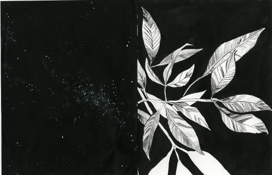 Vita : anthonycudahy.com #cudahy #anthony #art #illustration