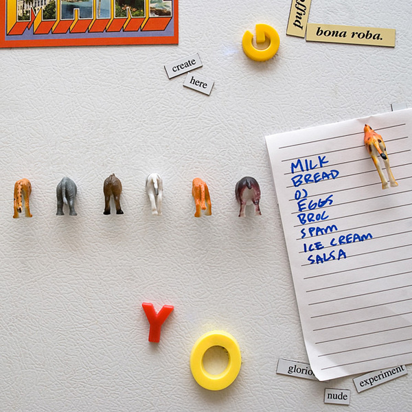 Animal Butt Magnets From Steph Mantis #magnets #gadget #home