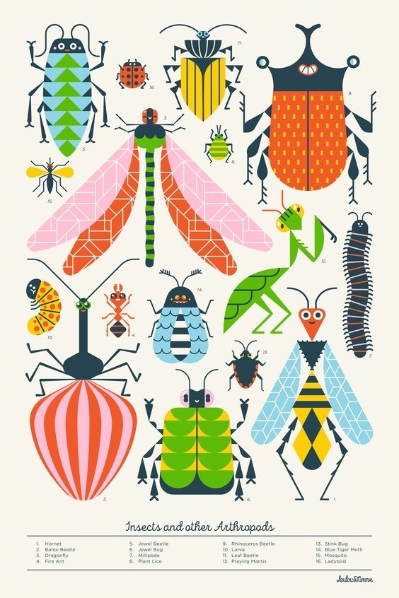 SCHOOL POSTERS – Loulou and Tummie