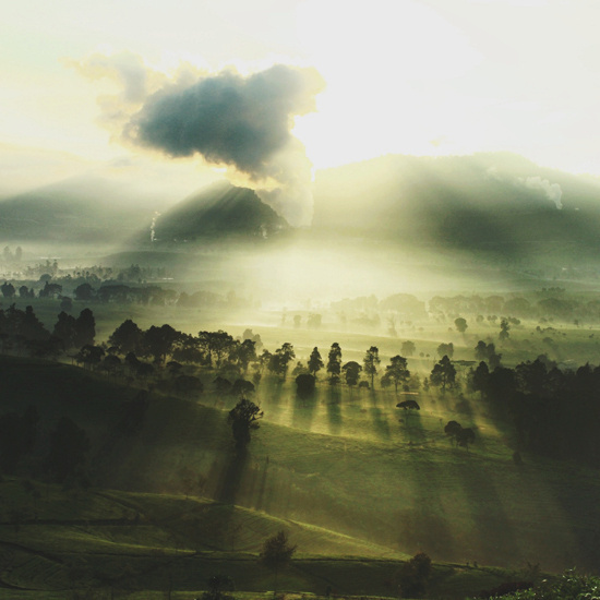 tumblr_mucycdjiTR1qi711zo1_1280 #clouds #volumetric #sunshine #lighting #rays #trees