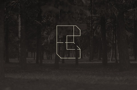 FFFFOUND! | Citadel - Visual Bureau #graphic #trees #blackwhite