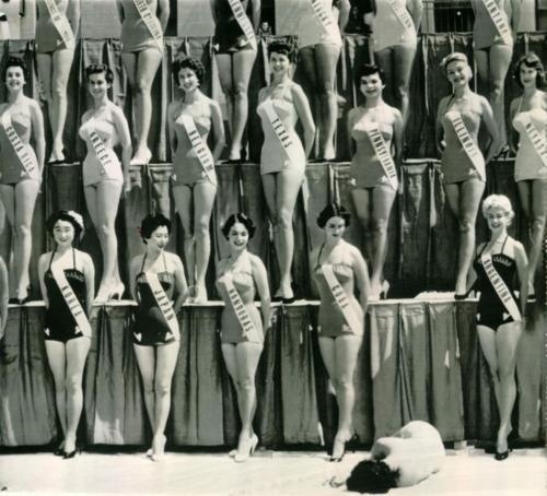 1954 Miss Universe Beauty Pageant Miss New Zealand faints under the hot sun of Long Beach, California. Imgur #photo #heat #fall #women #contest #society #miss #beauty