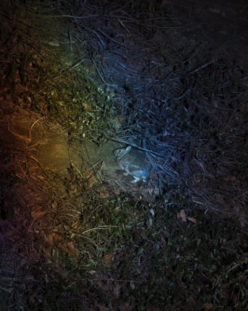 Jason Lukas | PICDIT #photo #photography #light #art