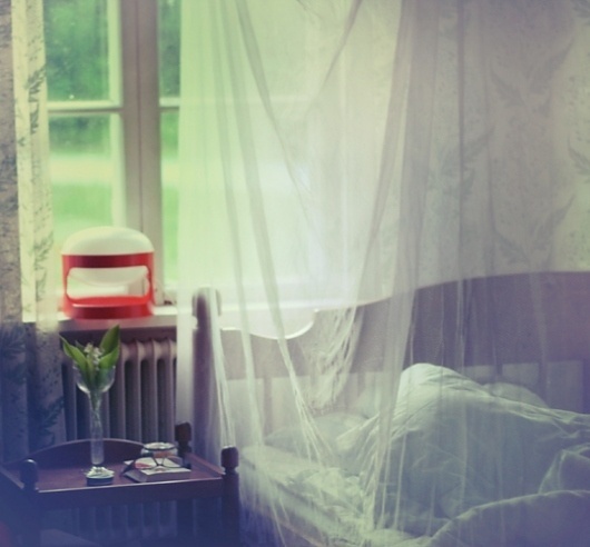 Lily Of The Valley Anna Ådén Photography
