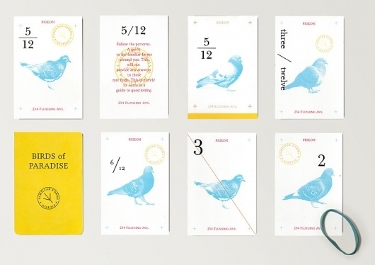 thisseemsinteresting #pigeon #design #graphic #cards