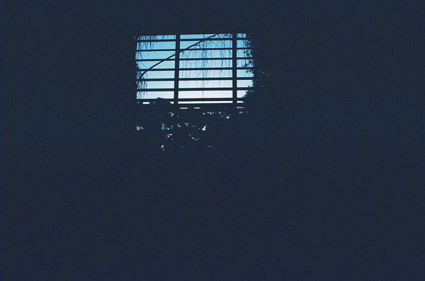 Sarasota #foliage #darkness #sky #florida #nostalgia #sadness #window