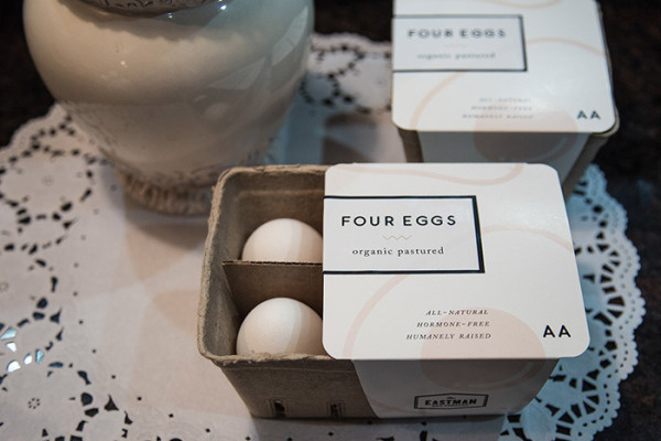 Eastman Egg by Stephanie Falaschetti