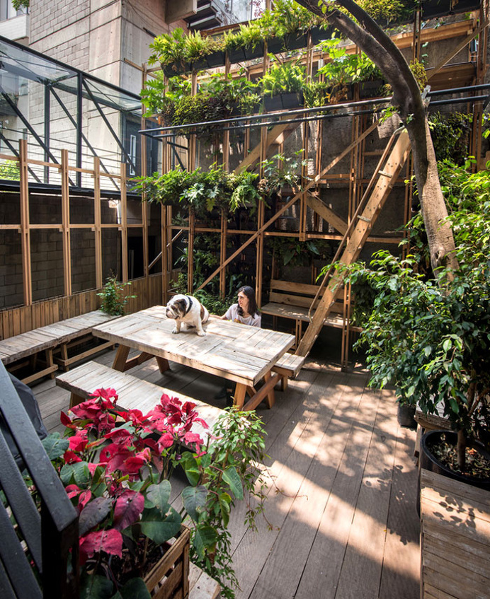 Essay 4 – Urban Apartment and Garden in Mexico City - InteriorZine
