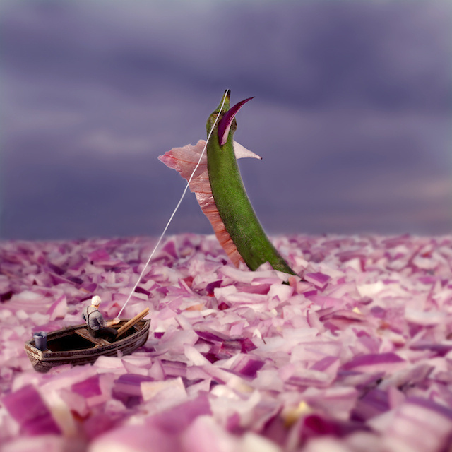 william-kass-2bis #scale #onion #world #food #photography #miniature