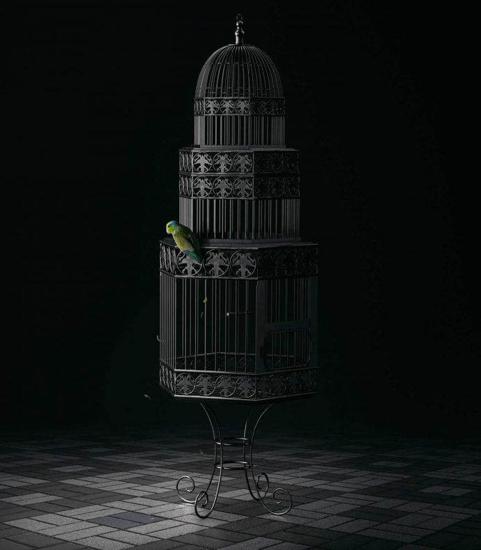 Free Bird: Creative Photo Manipulations by Mike Campau