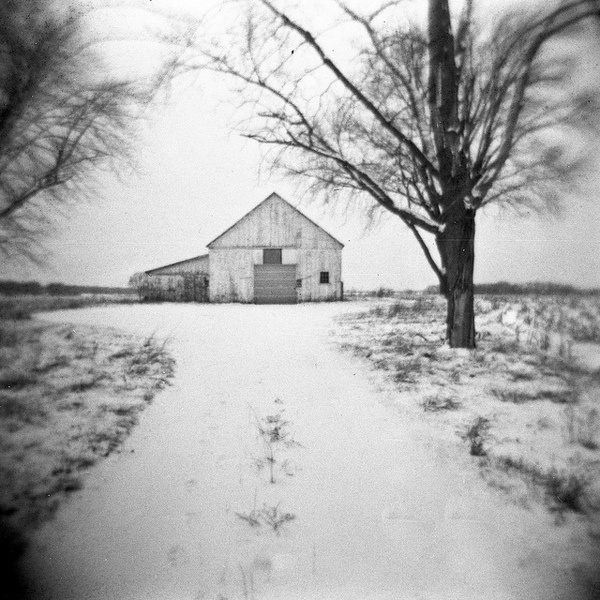 photo #snow #house #tree