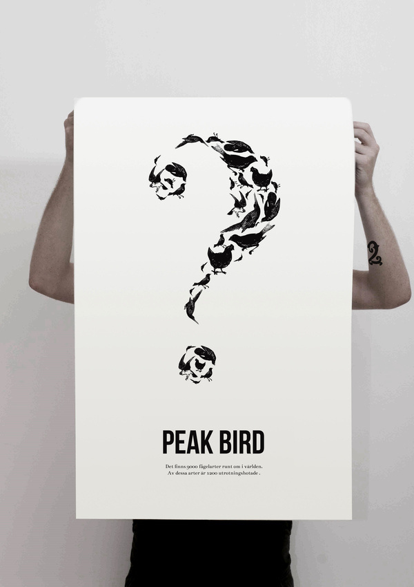PEAK BIRD on Behance #illustration #white #black