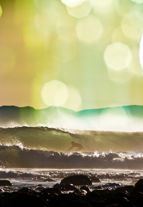 â™" a beautiful thing is never perfect... #surf