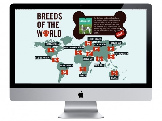 Stephany Gill | Breeds of the World #gill #interactive #breeds #world #stephany #dogs #map