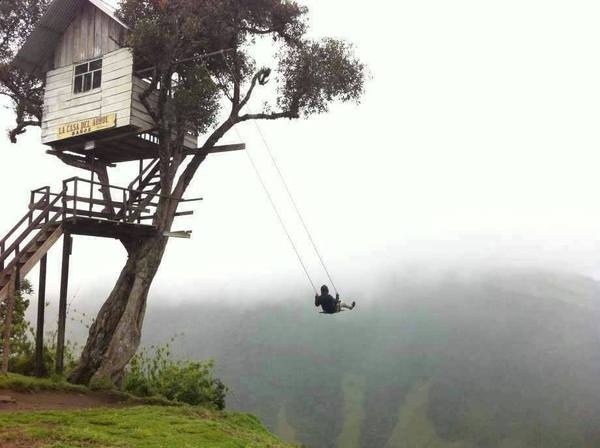 Wyniki Szukania w Grafice Google dla http://img.mypersianforum.com/images/53792486289889881284.jpg #swing #nature #treehouse #tree