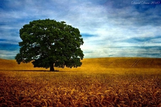 Landscape Photography by David Dean » Creative Photography Blog #inspiration #photography #landscape