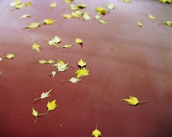 Photographer Shawn Gust #inspiration #photography