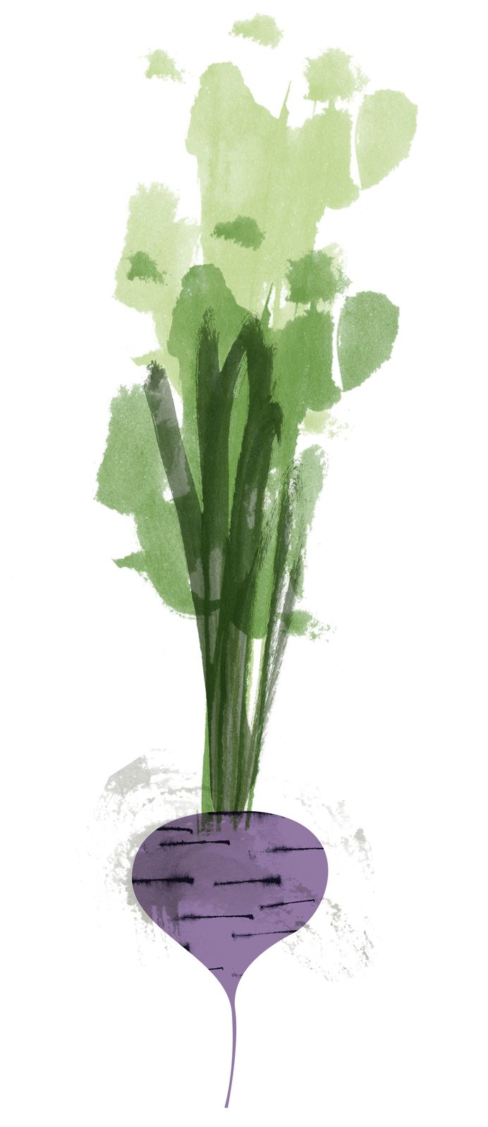 #illustration